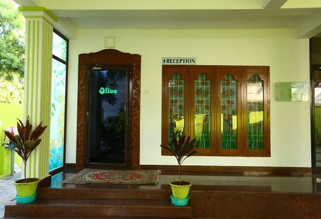Olive Apartments-1